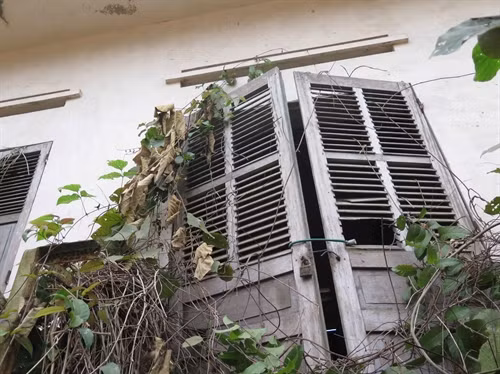 Trạm bơm bỏ hoang bị cỏ mọc che lấp.