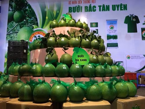 Các măt hàng sản phẩm thương hiệu “Cam Bắc Tân Uyên” và “Bưởi Bắc Tân Uyên". Ảnh: Huyền Trang - TTXVN
