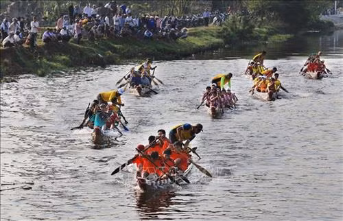 Đua nhau về đích. Ảnh: Hồ Cầu - TTXVN