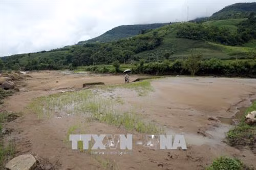 Sau trận lũ, những cánh đồng bị bồi lấp một lớp cát sỏi. Ảnh: Phan Tuấn Anh – TTXVN
