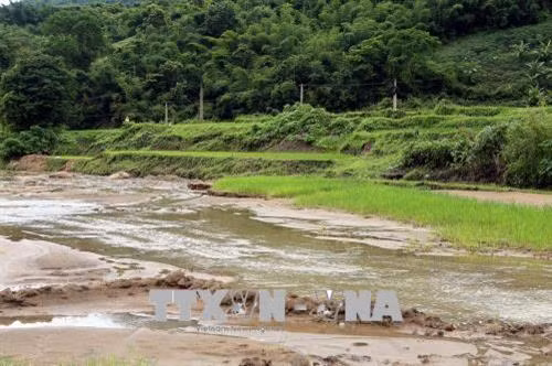 Những mảnh ruộng còn sót lại sau trận một trận lũ tại bản Na Sang 2, huyện Điện Biên. Ảnh: Phan Tuấn Anh - TTXVN
