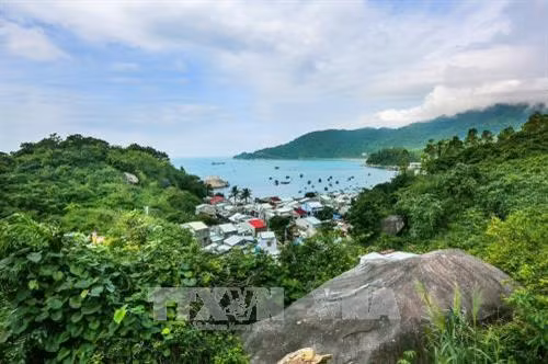 Vẻ đẹp của một góc đảo Cù Lao Chàm nhìn từ trên cao. Ảnh: Trọng Đạt - TTXVN