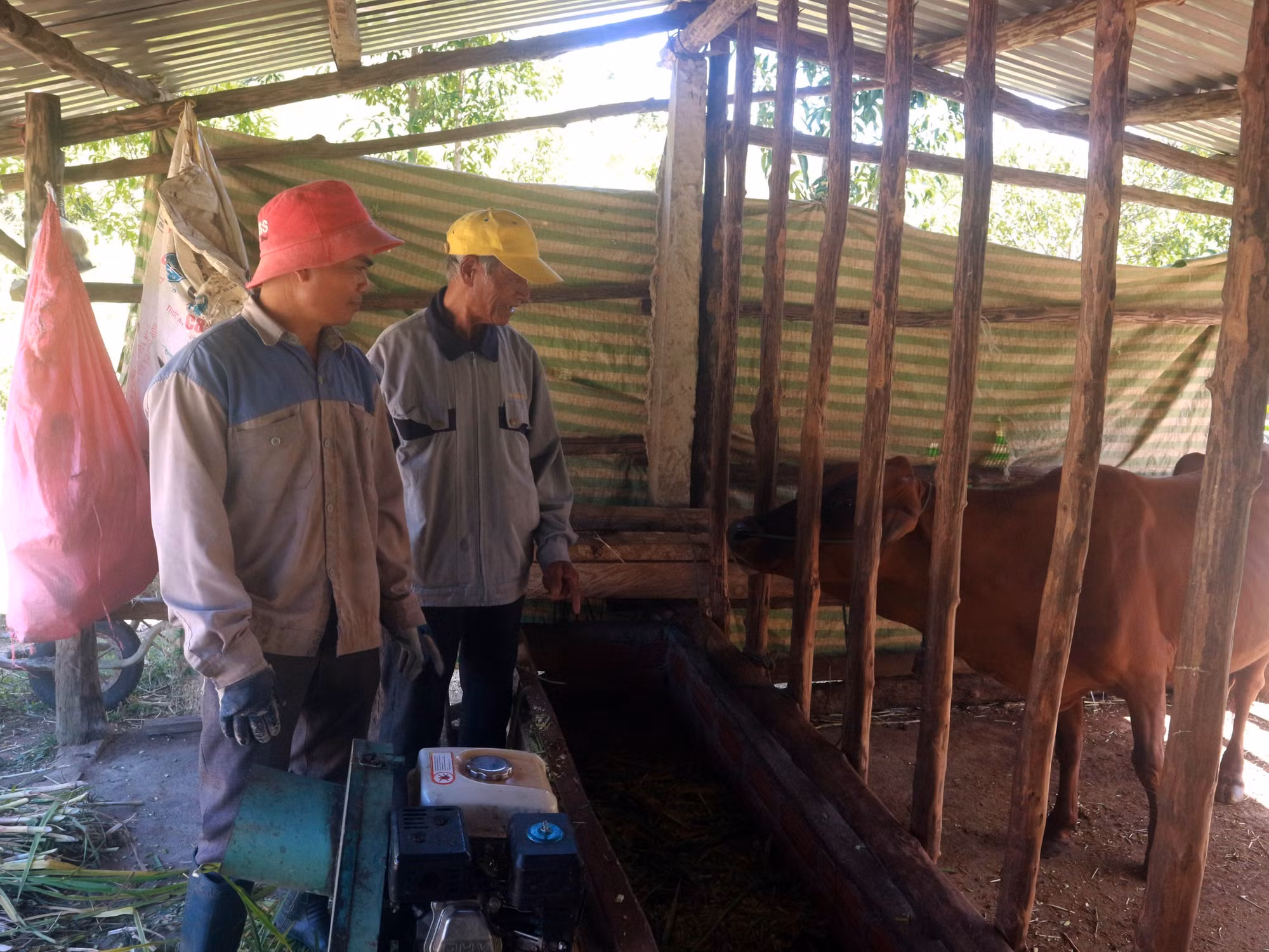 Già A Bang điểm tựa tinh thần của đồng bào Gié-Triêng ảnh 2