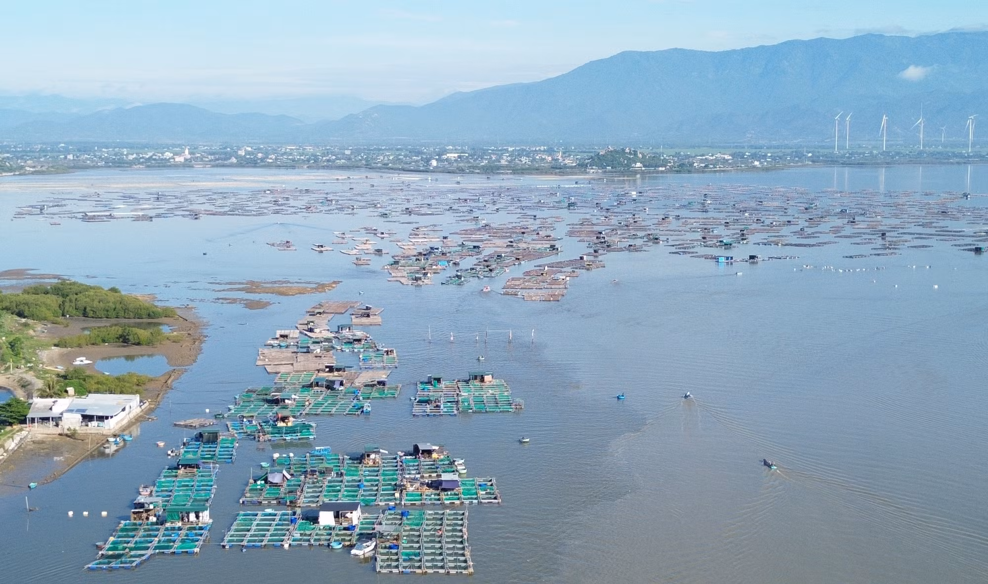 Huyện ven biển Ninh Hải dồn sức xây dựng nông thôn mới nâng cao ảnh 2