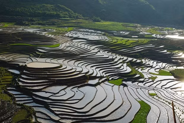 Du lịch chữa lành - giải pháp giúp thu hút du khách chất lượng cao, hướng đến du lịch xanh ở Lào Cai ảnh 1