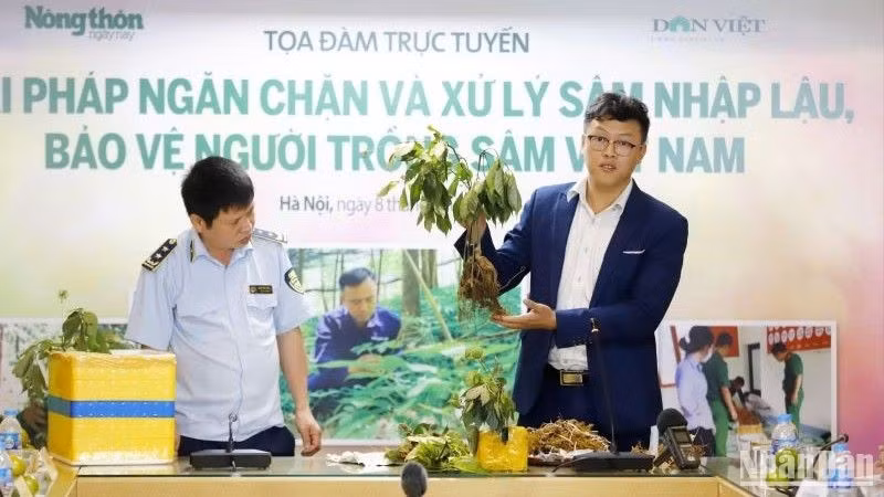Nhiều thủ đoạn trà trộn sâm nhập lậu vào Việt Nam ảnh 1