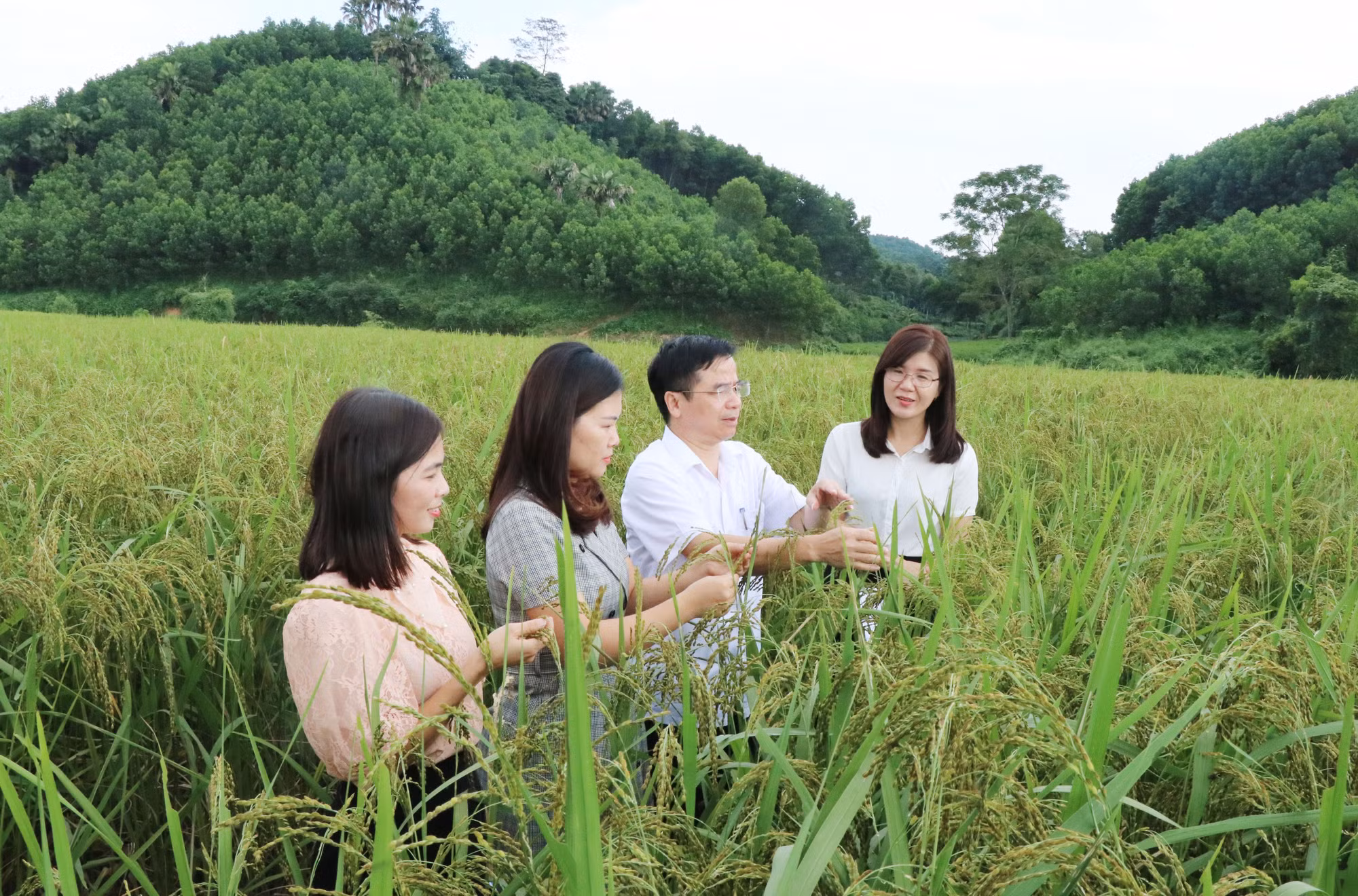 Chuyển biến tích cực trong thực hiện Chương trình mục tiêu quốc gia xây dựng nông thôn mới ở Thái Nguyên ảnh 2