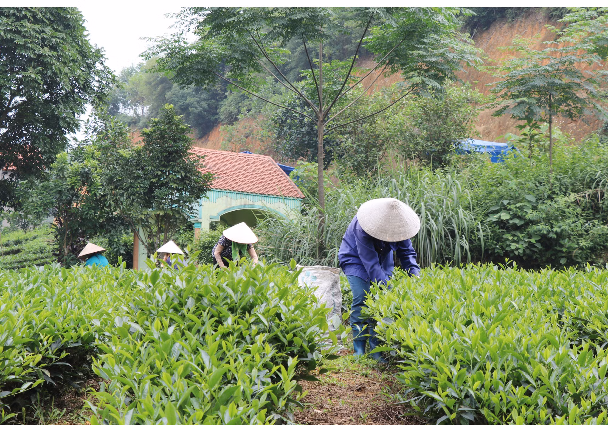 Thái Nguyên: Tạo cơ sở phát triển giao thương vùng miền ảnh 1