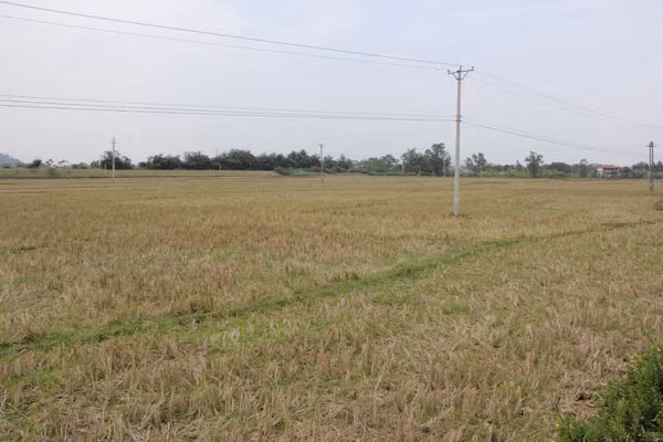 Vĩnh Phúc triển khai biện pháp cấp bách ứng phó với nguy cơ nắng nóng, hạn hán ảnh 1