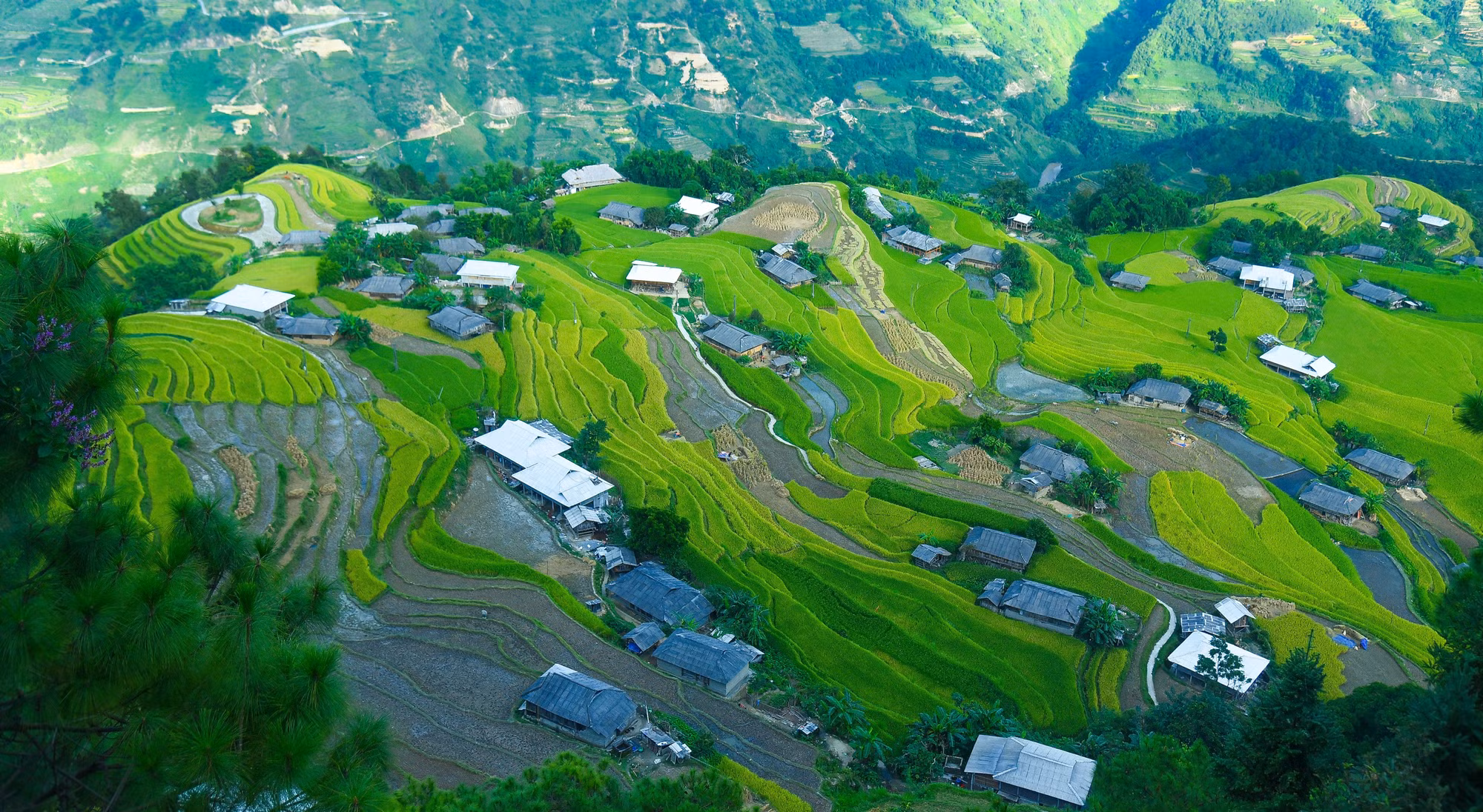 Hà Giang phát triển du lịch cộng đồng hiệu quả, bền vững ảnh 4