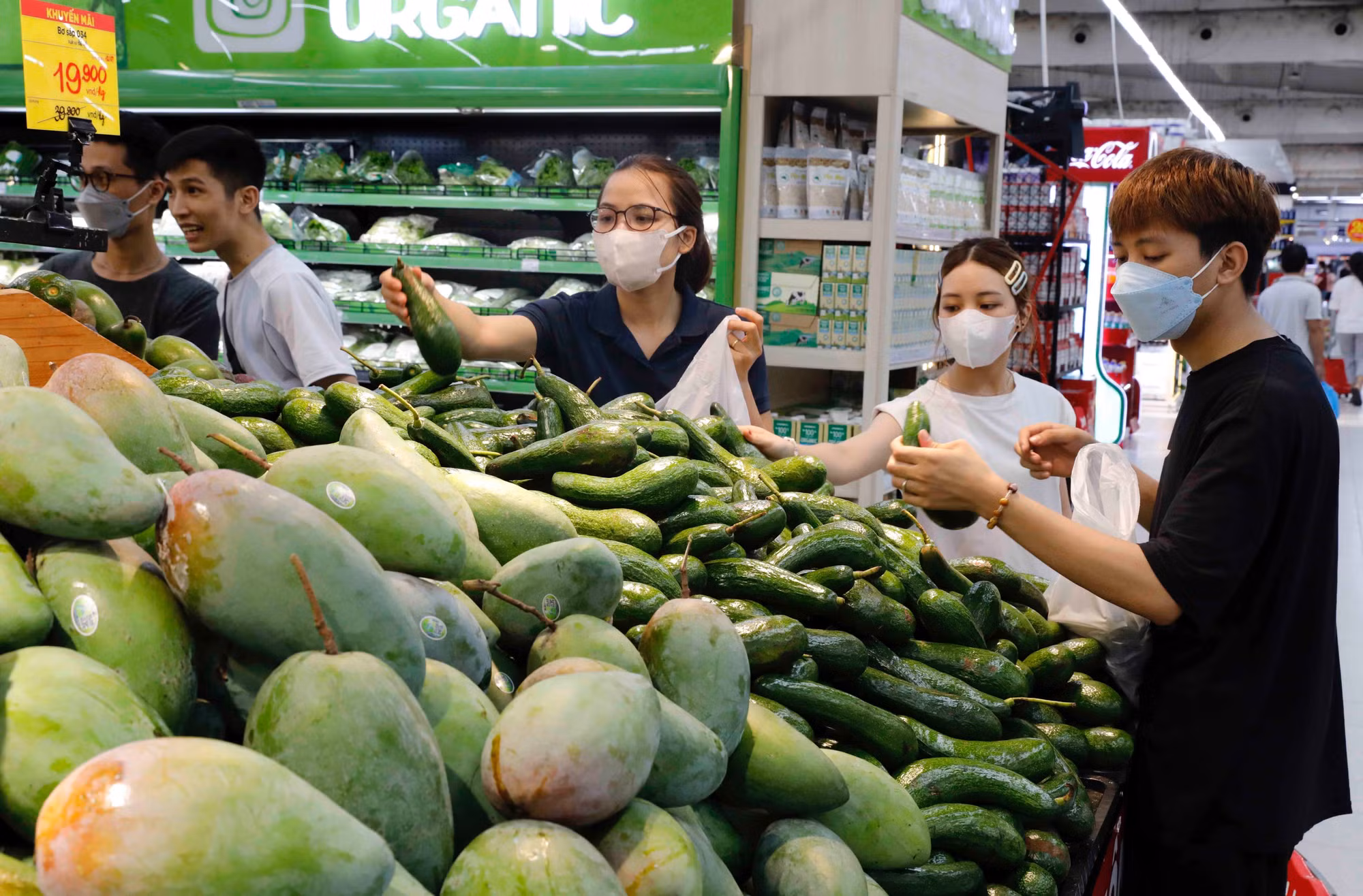 Mở đường cho sản phẩm vùng dân tộc thiểu số và miền núi vào hệ thống phân phối ảnh 2