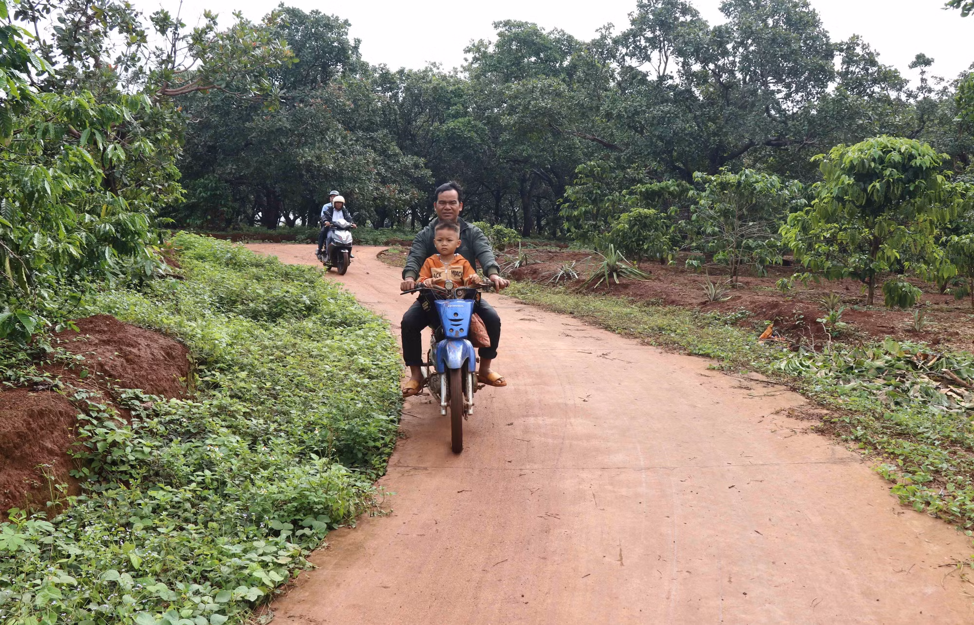 Gia Lai: Người dân vùng sâu, vùng xa tự nguyện hiến đất mở đường ảnh 2