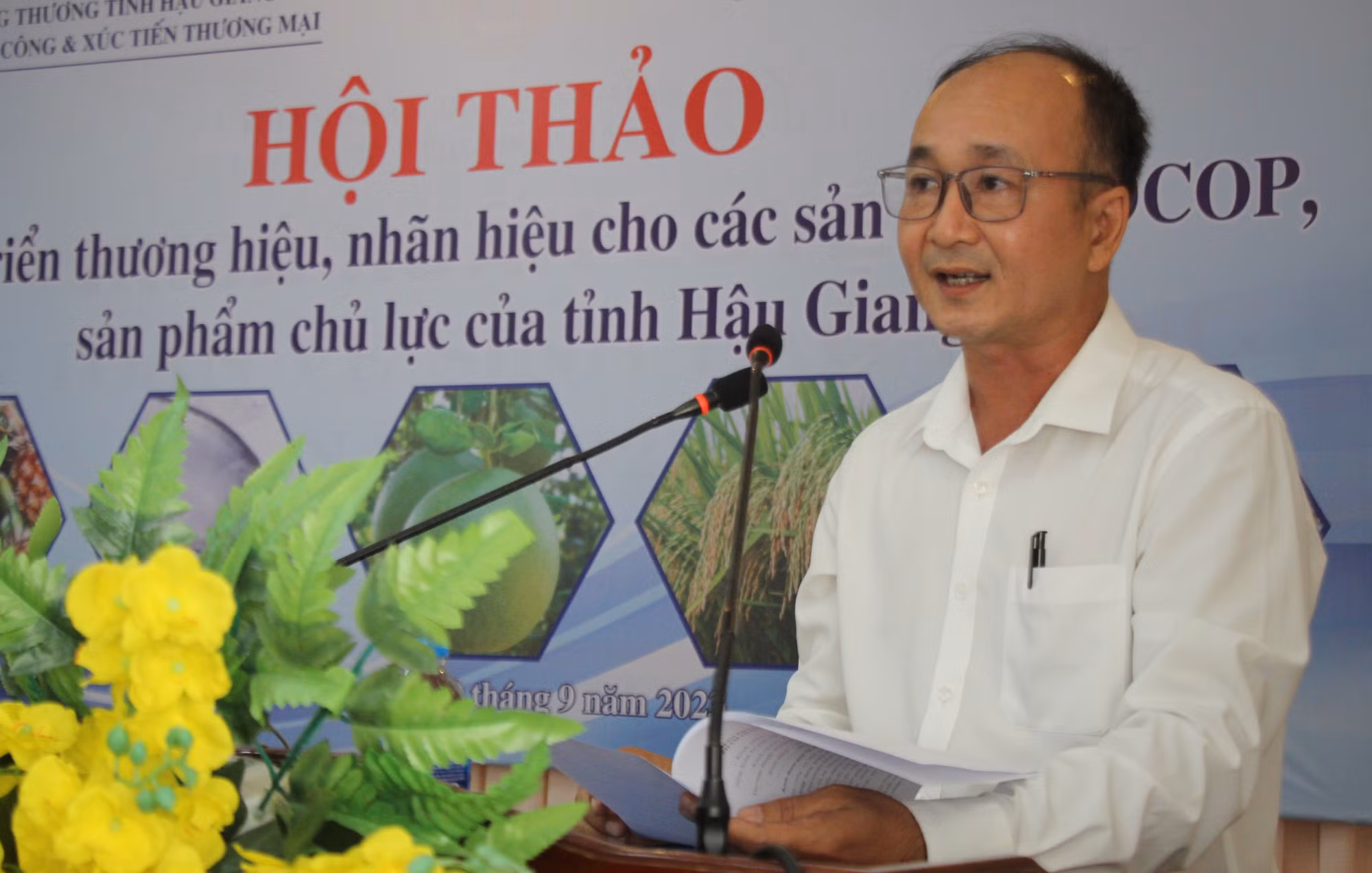 Hậu Giang phát triển thương hiệu cho sản phẩm chủ lực ảnh 1