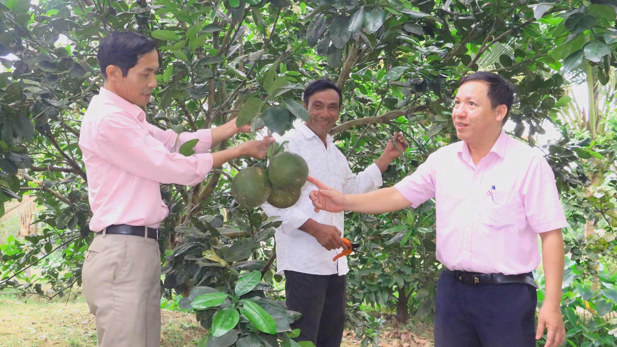 Thừa Thiên - Huế: Giảm nghèo bền vững từ nguồn vốn chính sách ảnh 1