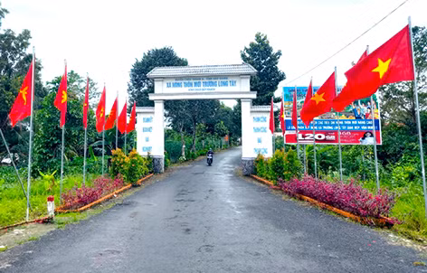Hậu Giang thêm nhiều xã đạt chuẩn nông thôn mới nâng cao, kiểu mẫu ảnh 1