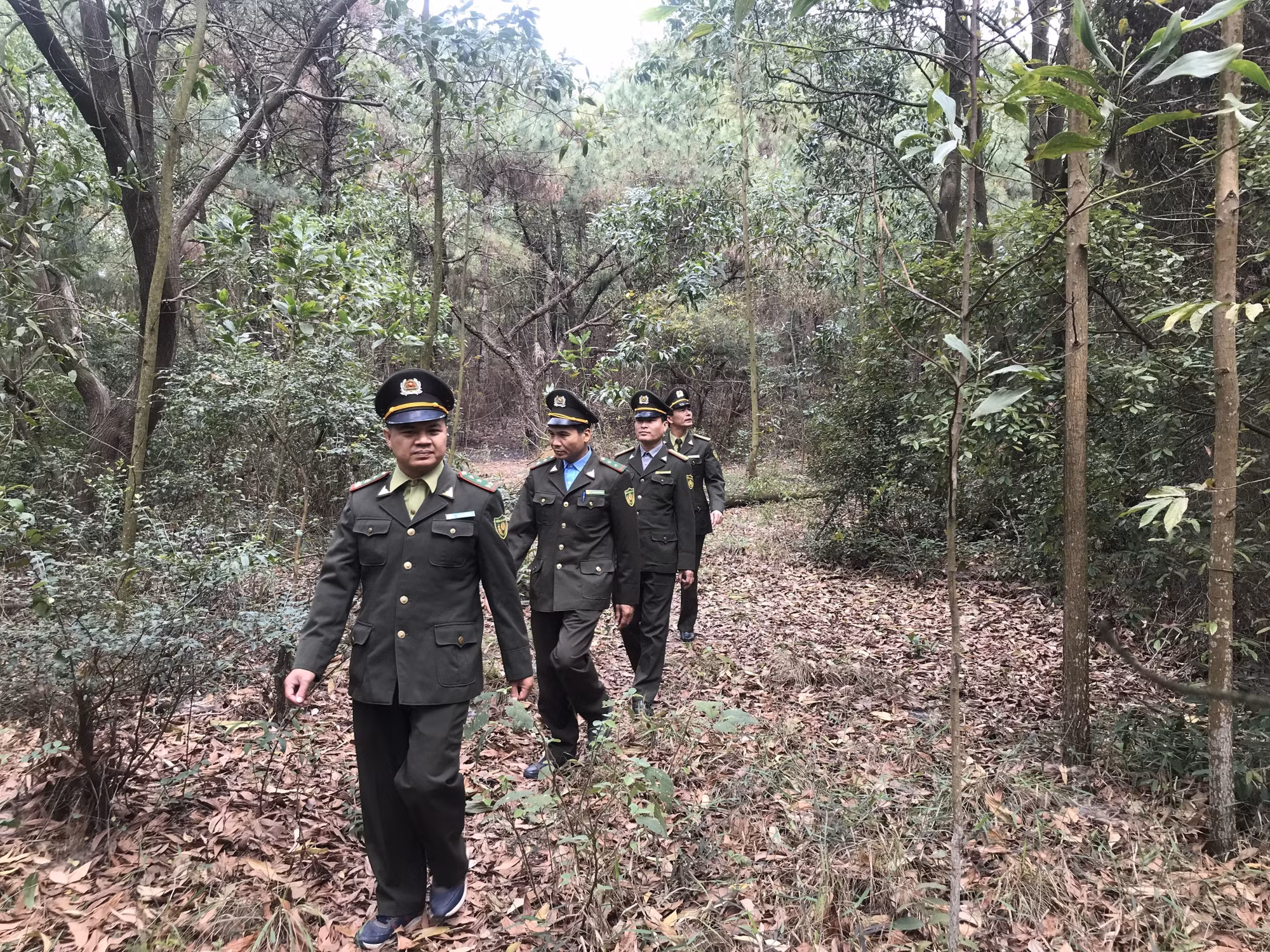 Gắn phòng, chống cháy rừng với gìn giữ và bảo vệ cảnh quan các khu di tích ở Hải Dương ảnh 2