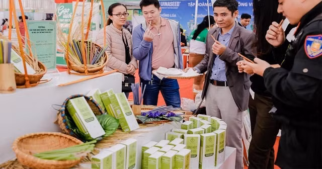 Phát huy thế mạnh kinh tế tập thể (Bài 1) ảnh 2