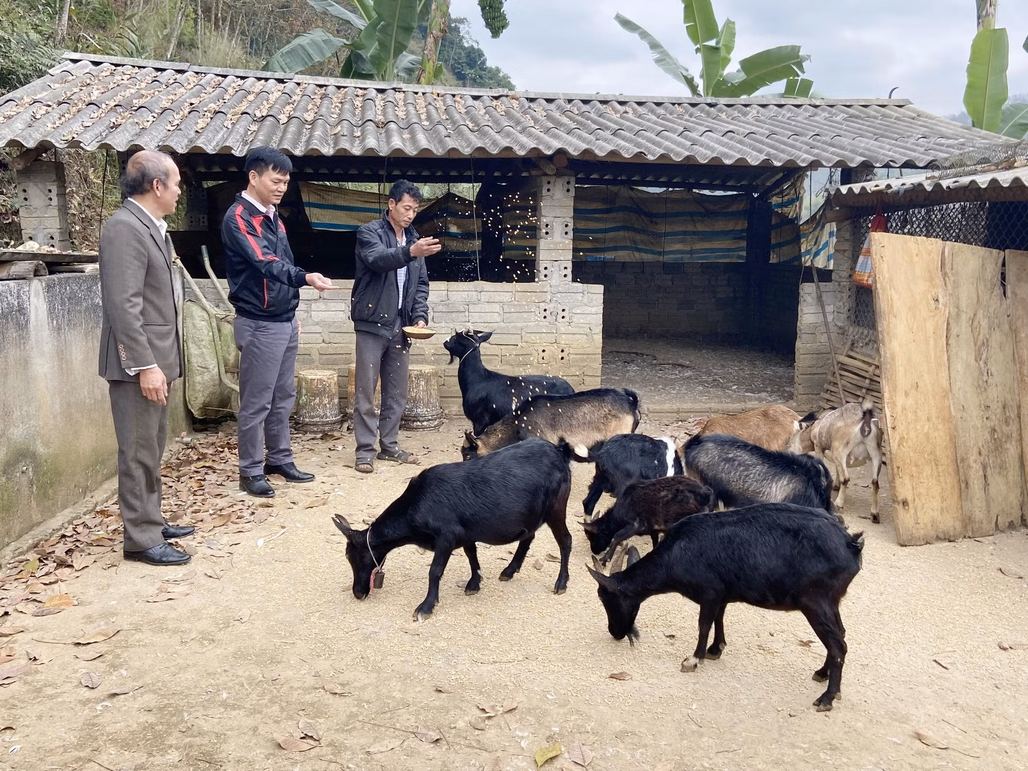 Tín dụng ưu đãi giúp đồng bào vùng biên huyện Phong Thổ thoát nghèo ảnh 1