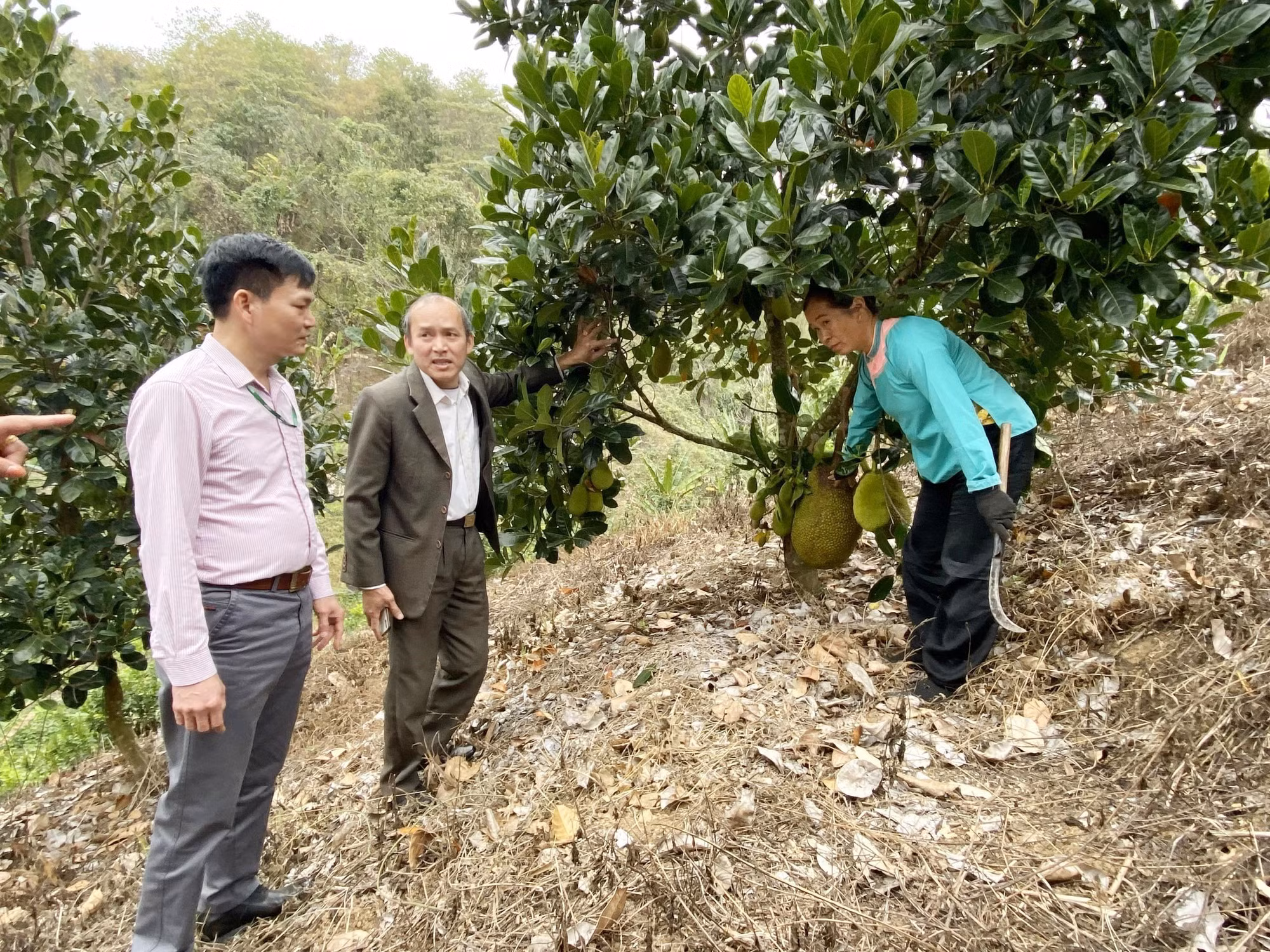 Tín dụng ưu đãi giúp đồng bào vùng biên huyện Phong Thổ thoát nghèo ảnh 4