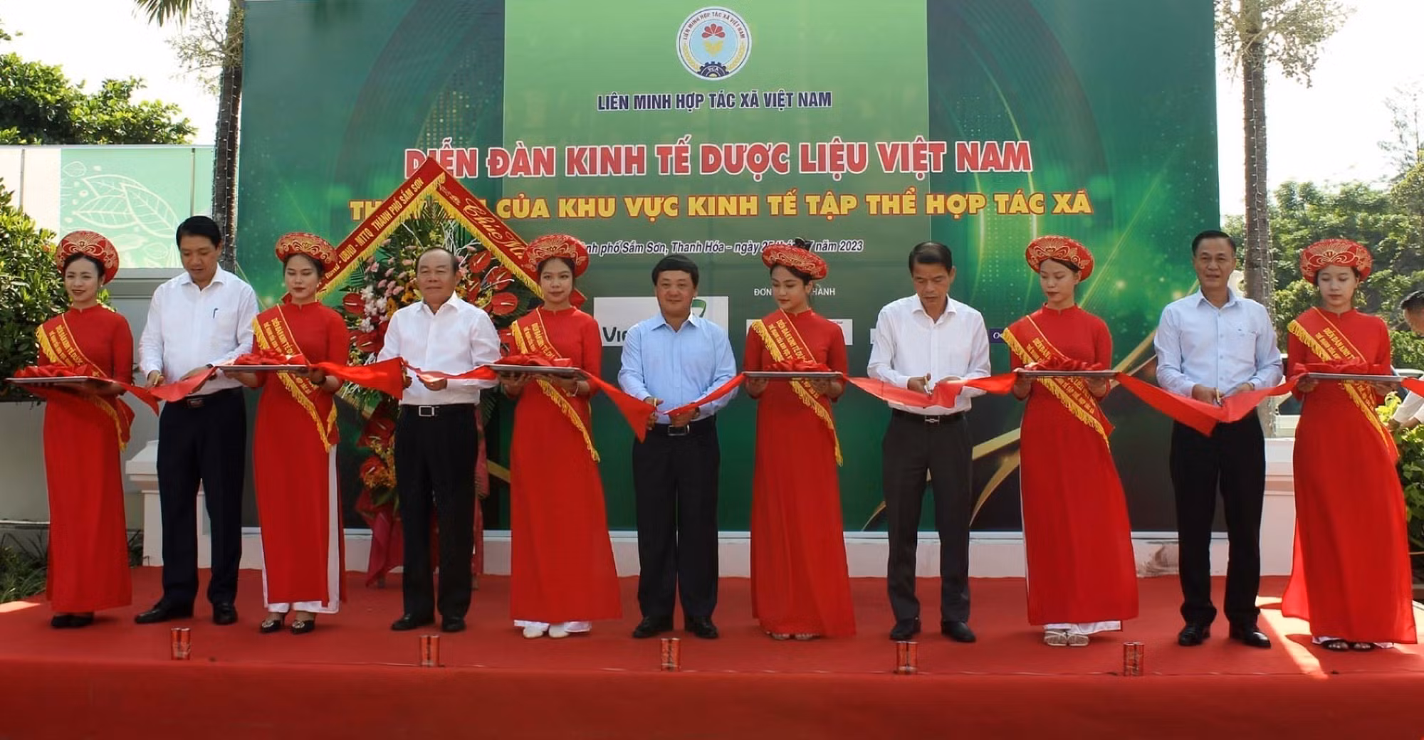 Đưa dược liệu Việt Nam phát triển và hội nhập toàn cầu ảnh 1