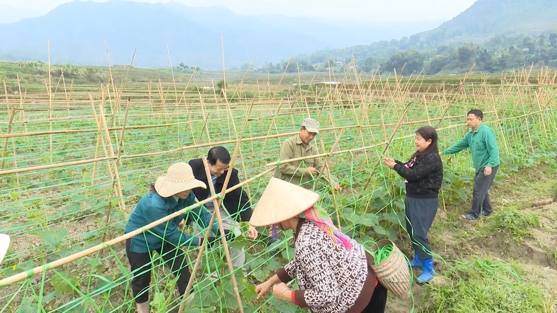 Lai Châu không để người nghèo bị bỏ lại phía sau ảnh 1
