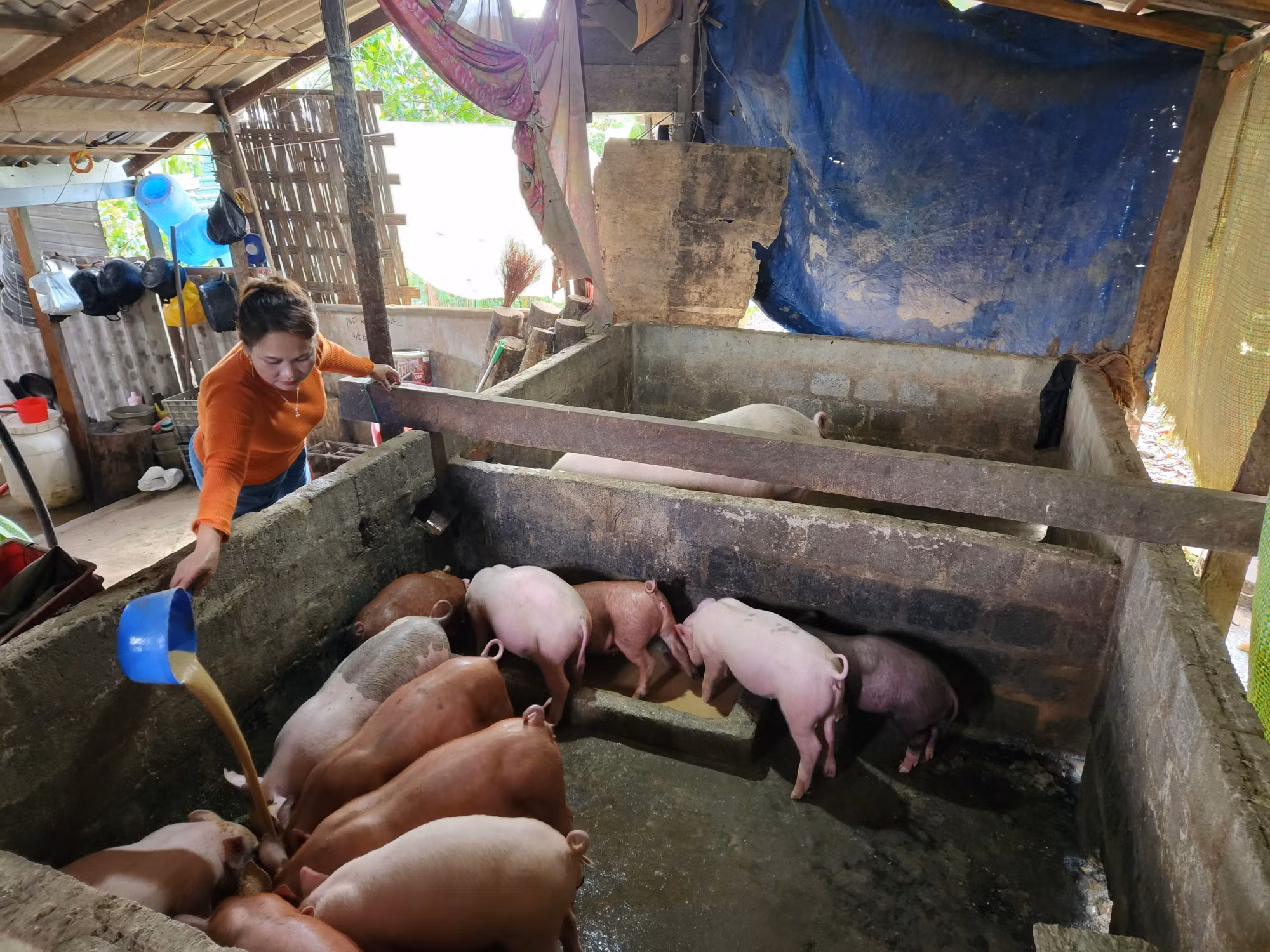 Thừa Thiên - Huế giúp đồng bào dân tộc thiểu số làm chủ kinh tế ảnh 3