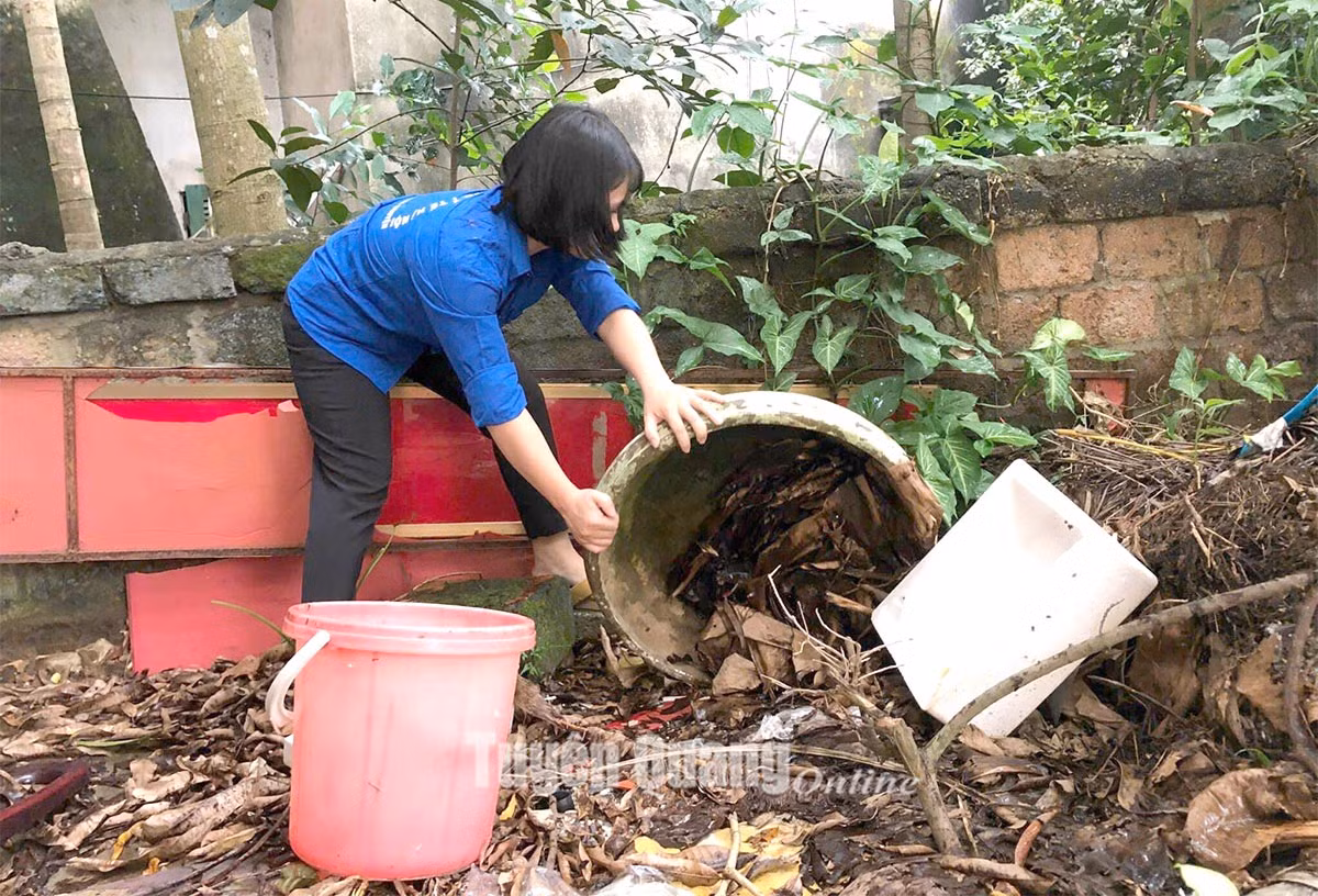 Tuyên Quang: Chủ động phòng, chống sốt xuất huyết ảnh 1