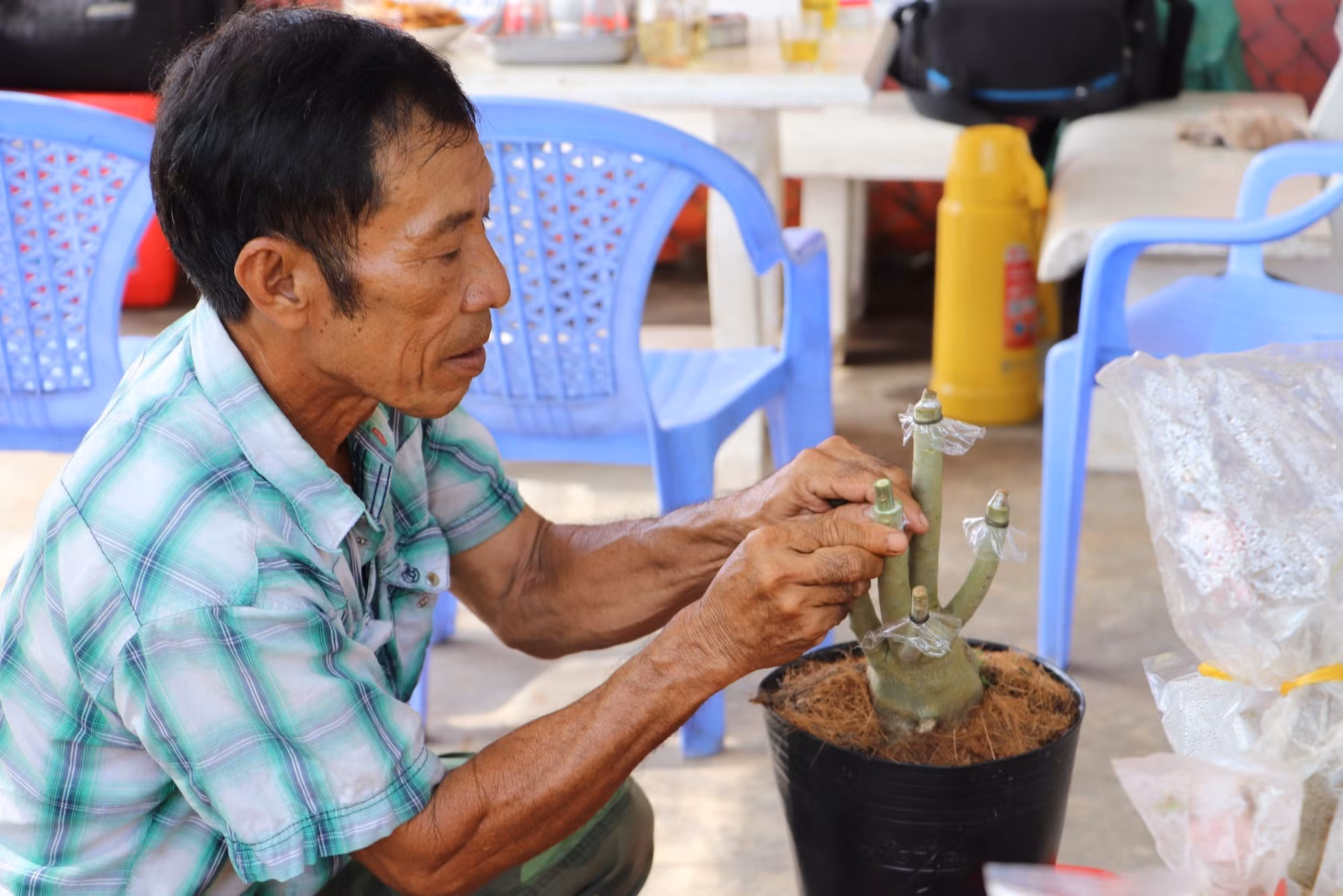 Tiền Giang: Cựu chiến binh Nguyễn Thanh Mai làm nông nghiệp đô thị thu tiền tỷ mỗi năm ảnh 3