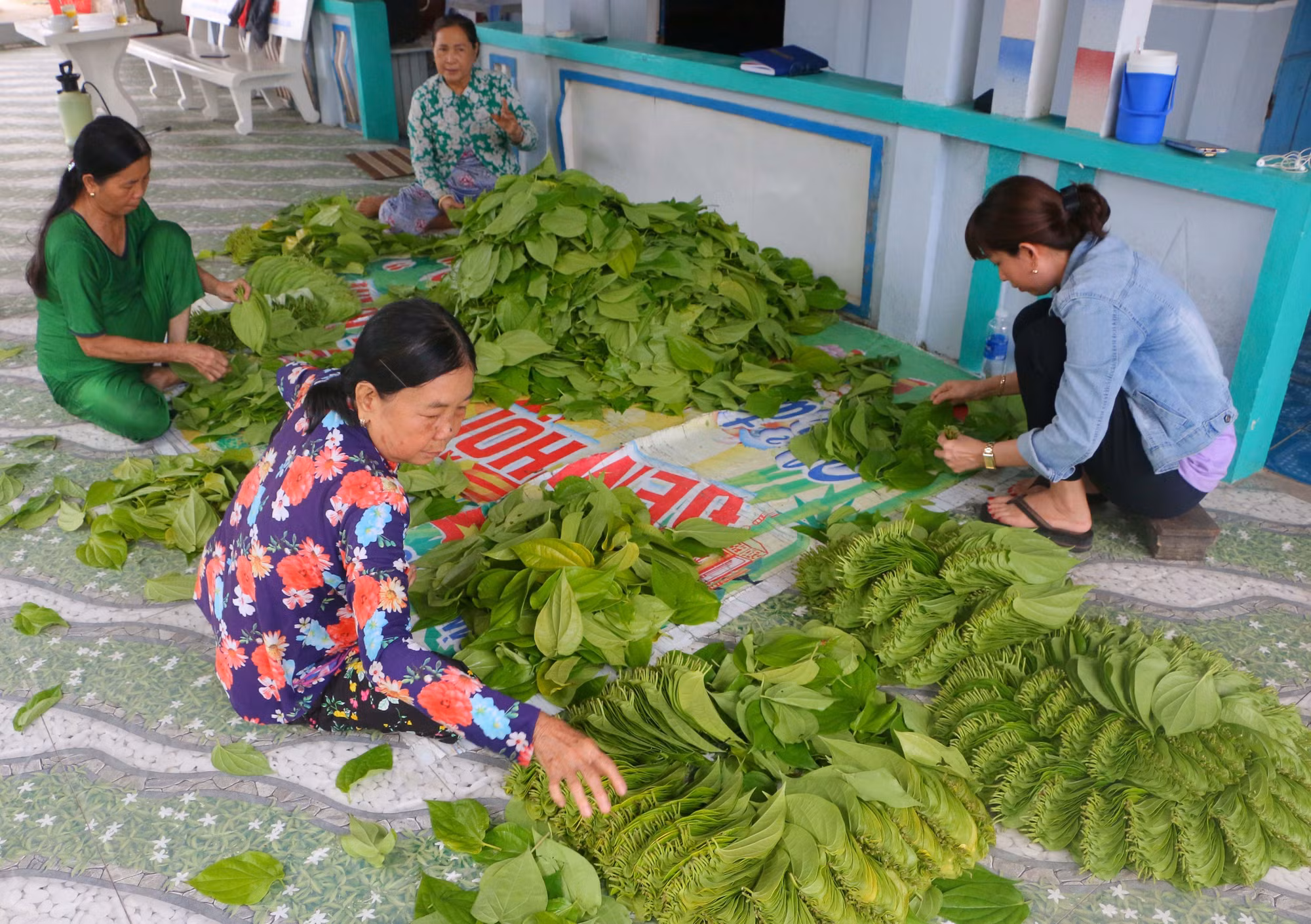 Đưa làng trầu Vị Thủy trở thành điểm du lịch ấn tượng ảnh 5