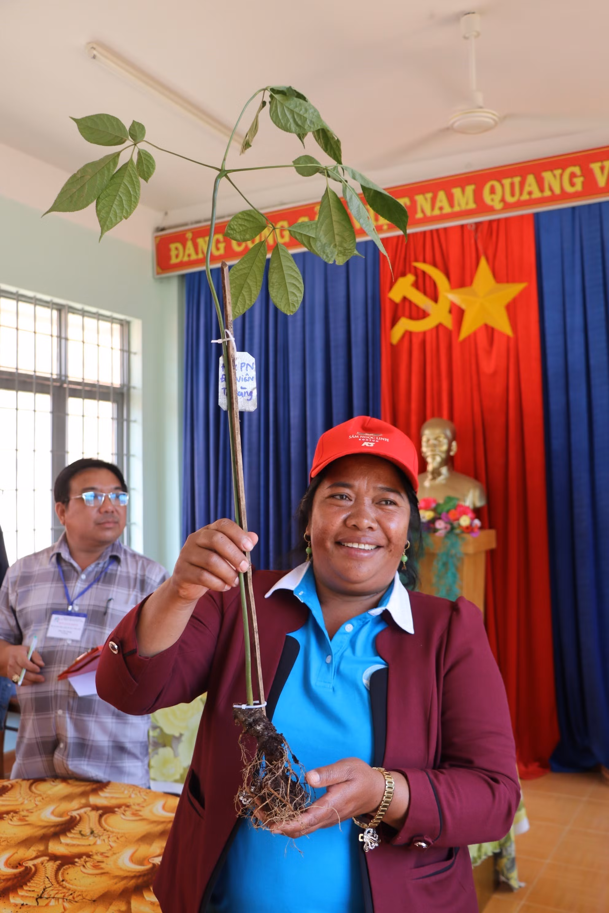Kon Tum: Lần đầu tiên tổ chức cuộc thi về sâm Ngọc Linh ảnh 4