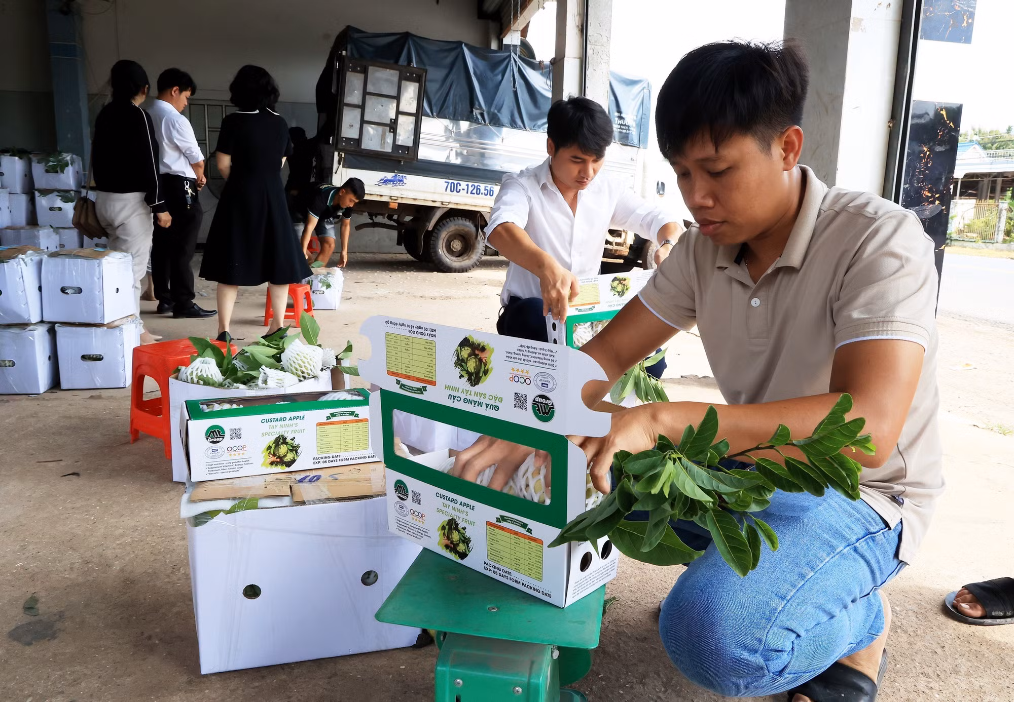 Đưa sản phẩm OCOP Tây Ninh vươn xa ảnh 1