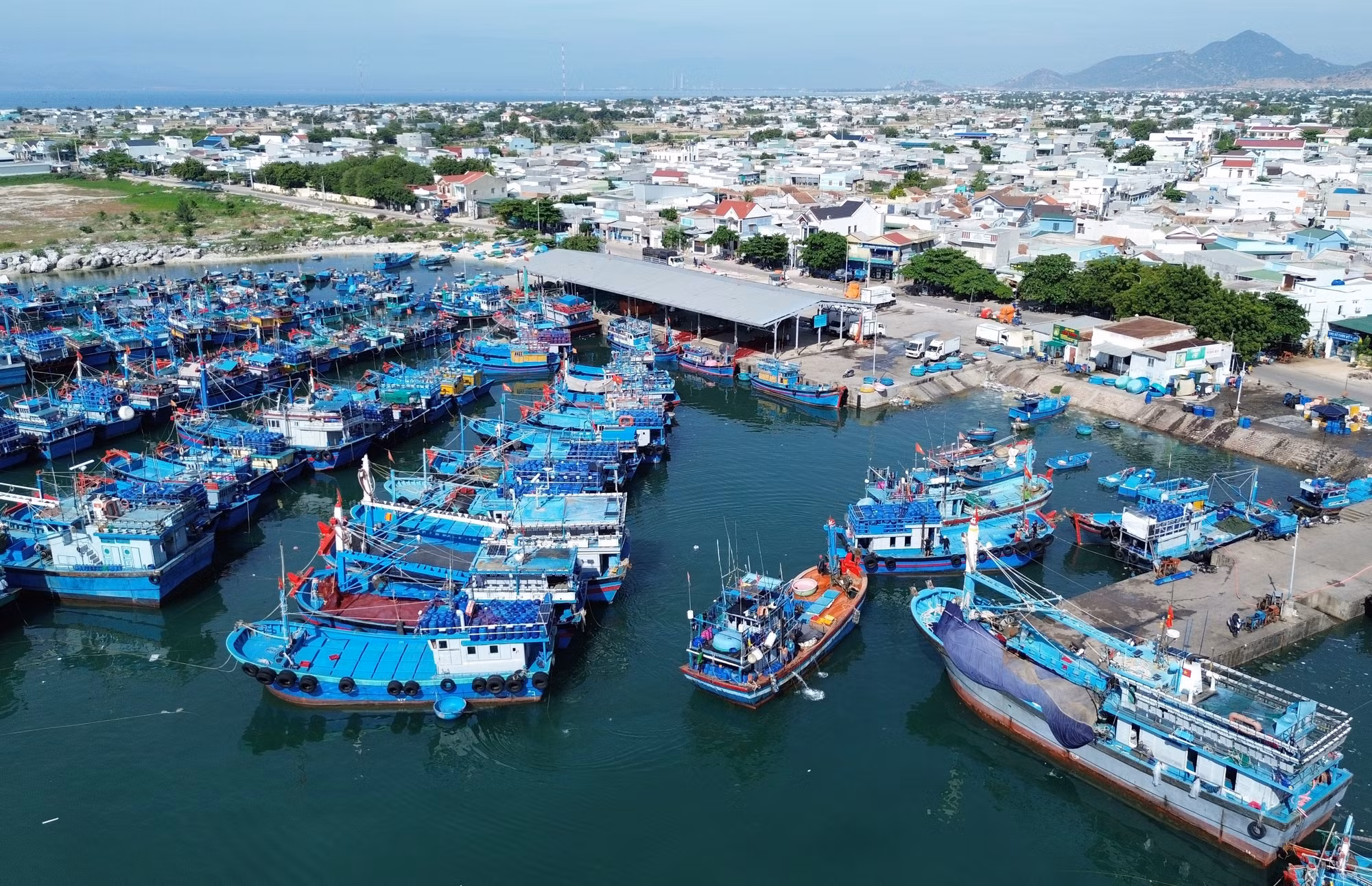 Huyện ven biển Ninh Hải dồn sức xây dựng nông thôn mới nâng cao ảnh 6