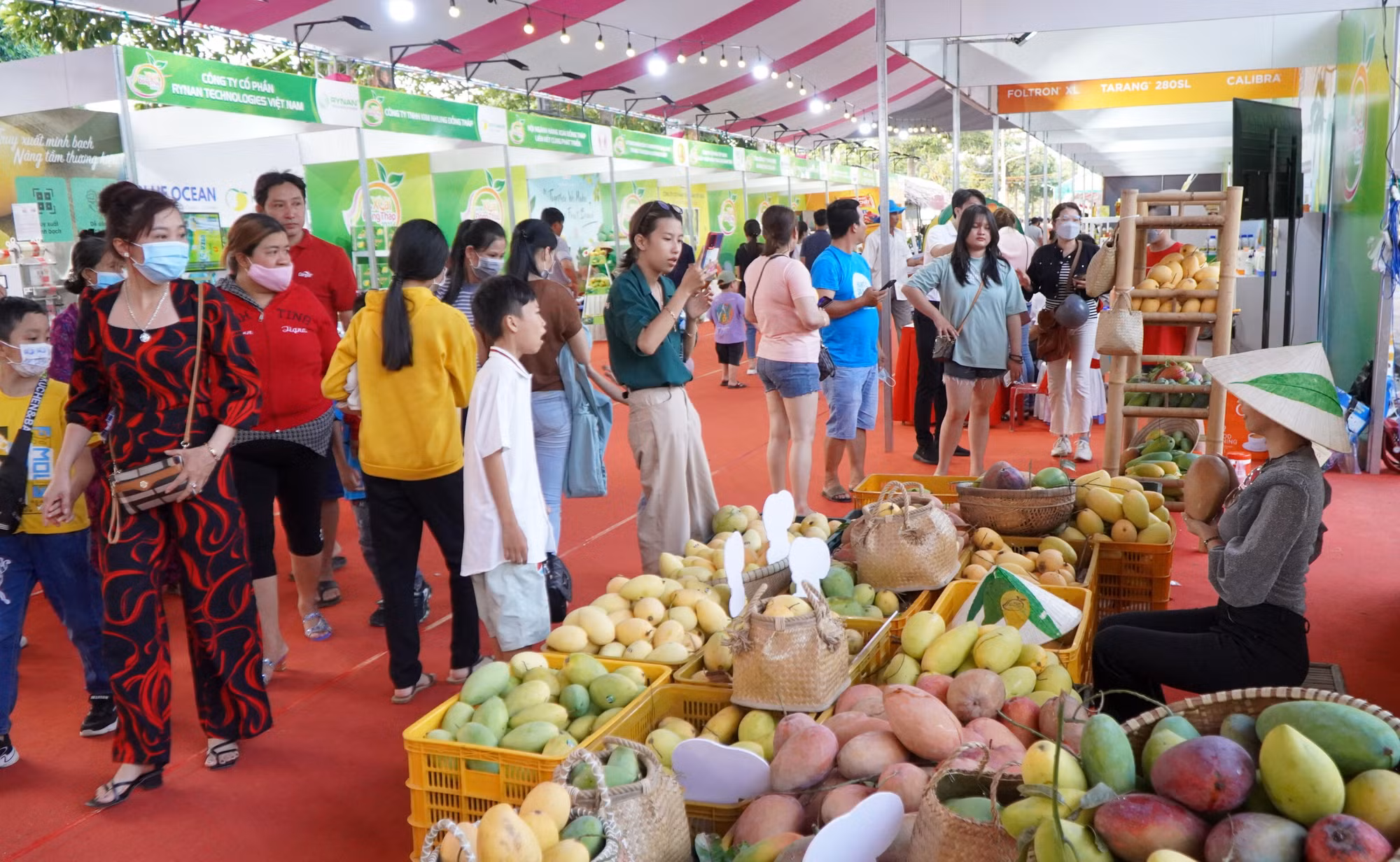 Nam Bộ khởi đầu mùa du lịch Hè ấn tượng ảnh 2