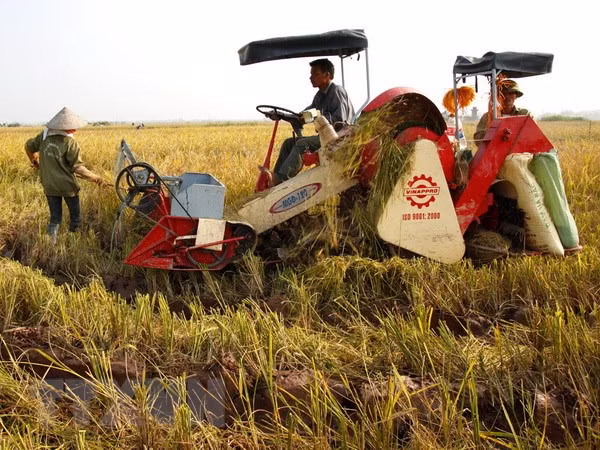 Cơ giới hóa đồng bộ trong sản xuất lúa tại Đồng bằng sông Hồng ảnh 1