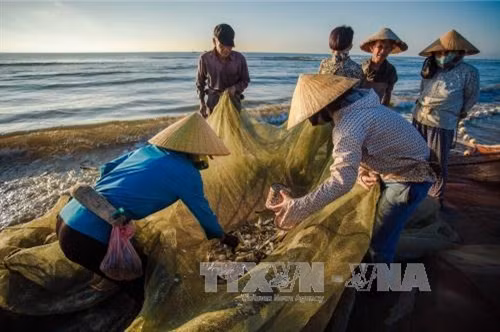 Kéo rùng - nghề truyền thống độc đáo của ngư dân xứ Thanh ảnh 5