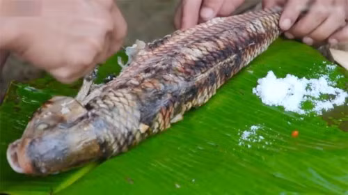 Đây là loài cá ngon trứ danh ở thác Bản Giốc, huyện Trùng Khánh (Cao Bằng).