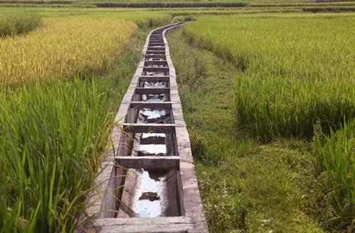 Hệ thống kênh mương nội đồng được kiên cố hóa giúp đồng bào dẫn nước tưới về ruộng, ổn định sản xuất.