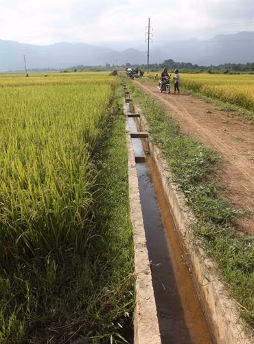 Hệ thống kênh mương nội đồng được kiên cố hóa giúp đồng bào dẫn nước tưới về ruộng, ổn định sản xuất.