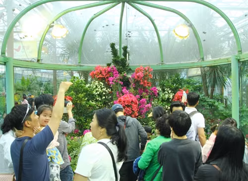 Lễ hội bướm Hampyeong thu hút du khách nhí ảnh 9