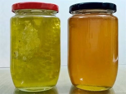 Mật ong hoa bạc hà có màu xanh nhạt khác hoàn toàn các loại mật thông thường có màu vàng cam. Ảnh: matongtaynguyen