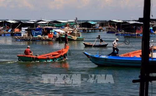 Phương tiện đánh bắt hải sản ở đảo Hòn Nghệ. Ảnh: Ngọc Hà – TTXVN