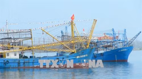 Ngư dân Phạm Thanh Trung, xã Tam Quang, huyện Núi Thành, tỉnh Quảng Nam hạ thủy tàu tham gia đánh bắt hải sản. Ảnh: Đoàn Hữu Trung - TTXVN
