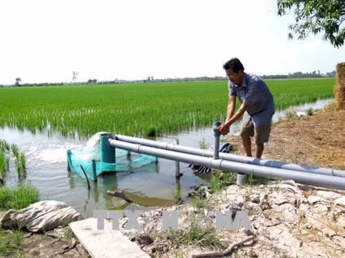 Ông Nguyễn Văn Thuận, ấp 4, xã Mỹ Đông, huyện Tháp Mười kiểm tra hệ thống điều tiết nước tự động được điều khiển bằng điện thoại thông minh. Ảnh: Đức Nhung - TTXVN