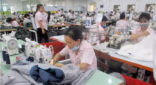 Công ty TNHH may mặc Quảng Việt hiện có hơn 7.000 lao động, trong đó công nhân người Khmer chiếm khoảng 15%.