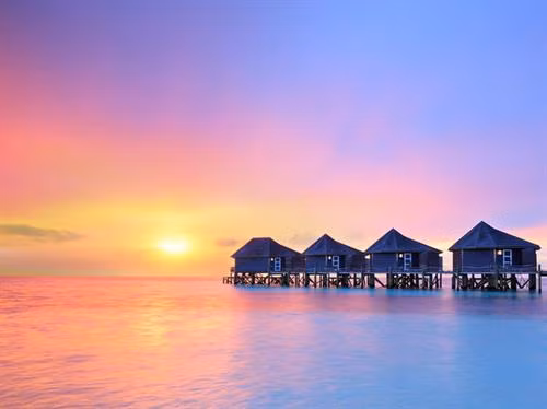 Đảo san hô Atoll, một trong 26 hòn đảo san hô ở Maldives, có những khu resort đẹp như trong mơ. Nhà thờ hồi giáo Grand Friday mái vàng là điểm nhấn tuyệt đẹp cho đường chân trời của thủ đô Malé Hoàng hôn tráng lệ trên Ấn Độ Dương. Chiêm ngưỡng những đàn cá đuối tại các khu vực lặn trong suốt trên đảo. Và quan trọng nhất, bạn cần phải nhanh chân. Các rạn san hô tuyệt đẹp đang rơi vào tình cảnh đáng buồn: bị đe dọa bởi căn bệnh tẩy trắng san hô trong vài năm qua.