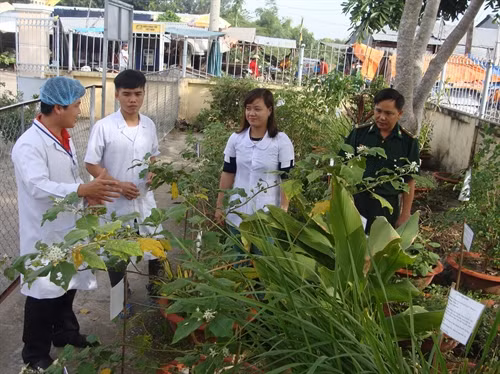 Bác sỹ Lưu Thanh Tuấn (ngoài cùng bên trái), Trưởng phòng khám đa khoa quân dân y Dinh Bà (Đồng Tháp) trao đổi với các đồng nghiệp về các loại cây thuốc nam