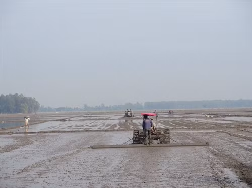 Nông dân xã Tân Hộ Cơ, huyện Tân Hồng (Đồng Tháp) làm đất chuẩn bị cho vụ sản xuất mới