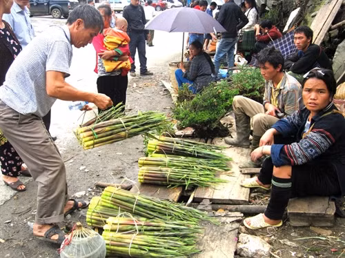 Tây Bắc mùa măng rừng ảnh 2