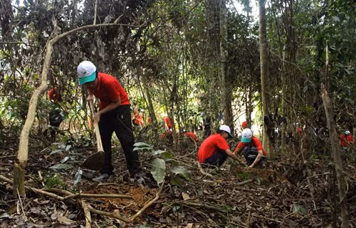 Các em học sinh và các tình nguyện viên tham gia trồng rừng. Ảnh: Trịnh Duy Hưng-TTXVN