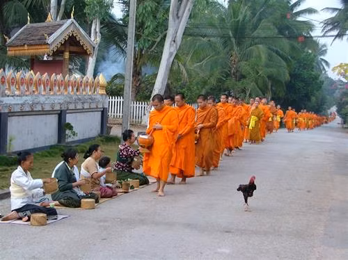 Chư tăng khất thực- hình ảnh quen thuộc trên đất nước Lào. Ảnh: Trần Nguyên Hải.
